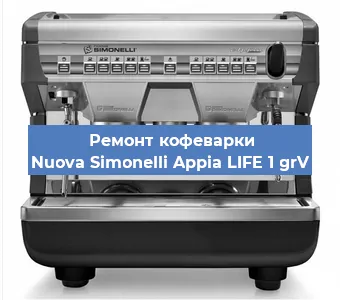 Чистка кофемашины Nuova Simonelli Appia LIFE 1 grV от кофейных масел в Санкт-Петербурге